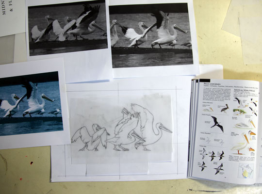 Preliminary drawing for a wood engraving of pelicans prepairing for lift off.